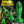 Creature Cocks Raptor Claw Fisting Fantasy Dildo
