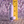 Selopa Ballsy Bullet - Purple