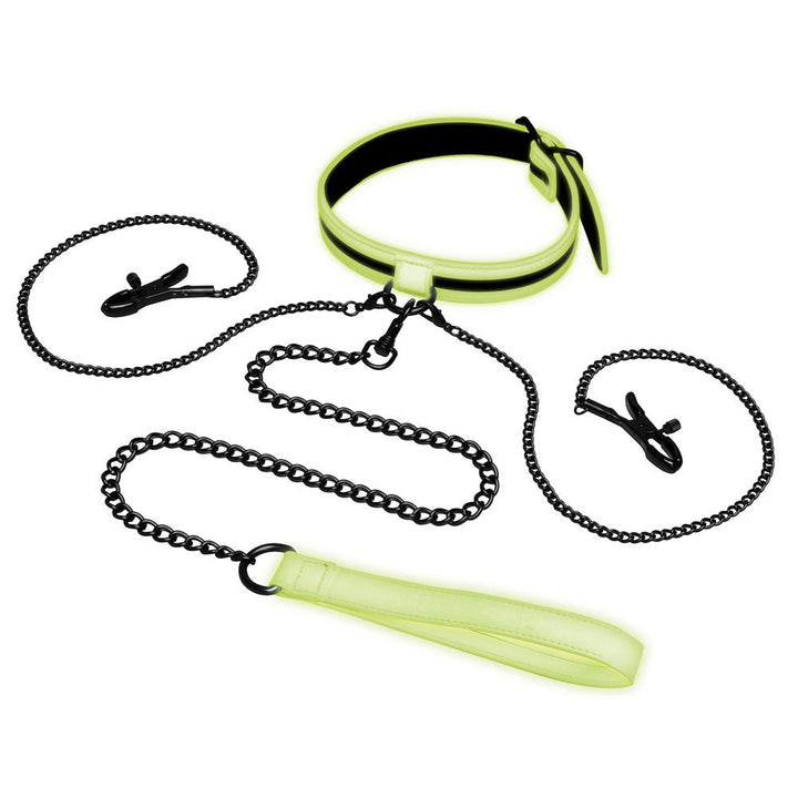 WhipSmart Glow In The Dark Collar with Nipple Clips & Leash