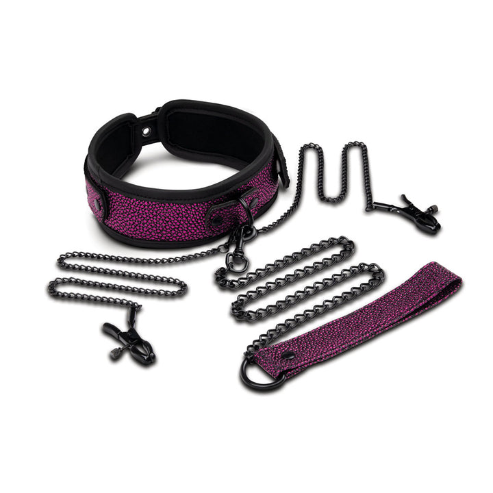 WhipSmart Dragons Lair Collar, Leash & Nipple Clips Set - Purple/Black