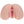 A realistic silicone adult novelty toy with a flesh-toned base and pink internal details, shown against a plain white background.