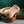 Zero Tolerance Sasha Grey Wet N Ready Flesh Vagina Stroker with Free Movie Download