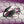 Zero Tolerance Plug & Tug - Vibrating Cock Ring with Anal Plug  - Black