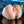 Zero Tolerance Lets Get Ready To Rumble - Flesh Rechargeable Vibrating Doggy Style Torso Masturbator