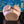 Zero Tolerance Lets Get Ready To Rumble - Flesh Rechargeable Vibrating Doggy Style Torso Masturbator