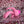 couples sex toys