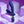 Playboy Pleasure Pleaser - Vibrating Prostate Massager with Wireless Remote