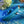 Adam & Eve Shimmy & Shake Velvet Rabbit Vibe - Blue