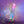 Avant D17 Lucky - Rainbow 8.5 Inch Dong