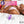 Play With Me Bull Vibrating C-Ring - Clear/Purple