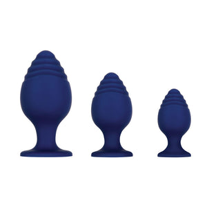 Evolved Get Your Groove On - Blue Butt Plugs - Set of 3 Sizes