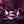 Evolved Tight & Delight Kegel Trainer Set - 5 Piece Kit