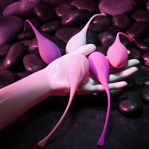 Evolved Tight & Delight Kegel Trainer Set - 5 Piece Kit