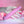 Evolved Carnation Classic Vibe - Pink