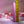 Evolved Carnation Classic Vibe - Pink