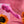 Evolved Gyro Super Vibrator - Pink
