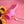 Evolved Gyro Super Vibrator - Pink