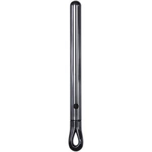 Evolved Pen Pal Metallic Vibrator