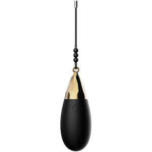 Evolved Egg-Citment - Black Egg with 3 Sleeves & Wireless Remote