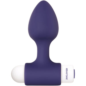 Evolved Dynamic Duo - Navy Blue Butt Plugs with Bullet