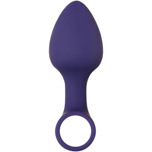 Evolved Dynamic Duo - Navy Blue Butt Plugs with Bullet