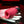 Gender X Body Kisses Sucking Stimulator