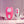 Gender X Under The Radar - Pink Panty Vibe