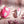 Gender X Under The Radar - Pink Panty Vibe