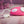 Gender X Under The Radar - Pink Panty Vibe