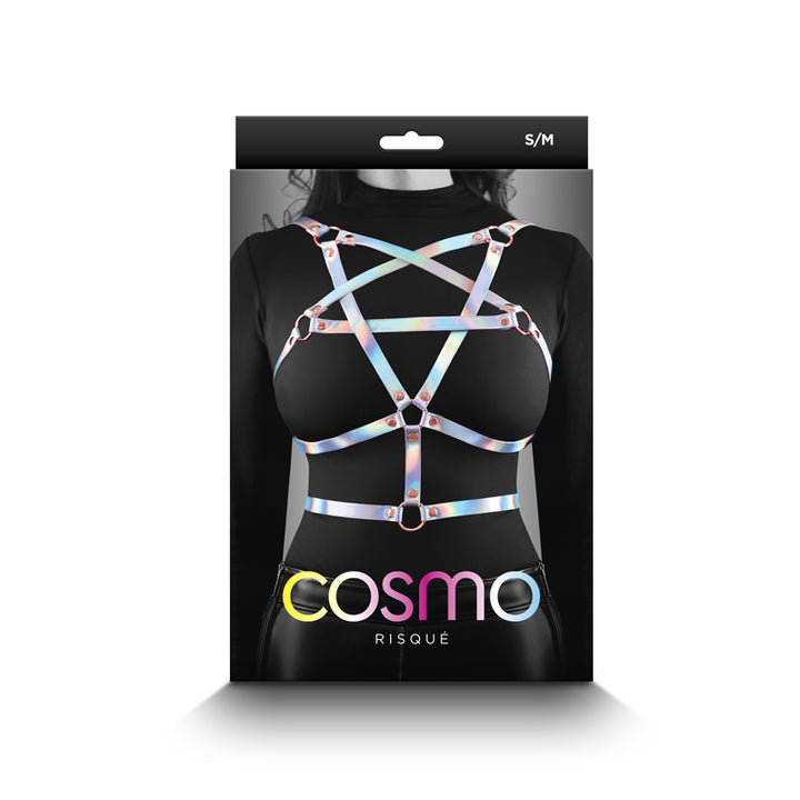 Cosmo Harness Risque - Metallic Rainbow Harness  S/M