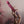 Temptasia Trixie Thrusting Dildo Vibrator - Wine Red