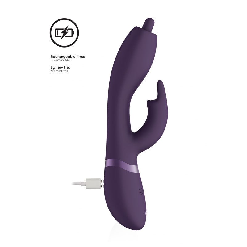 Vive Nilo - Purple Rabbit Vibrator with Swirling Tip